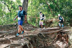 BIB: 
                            <button type="button" onclick="openModal(27718399)" class="btn btn-primary btn-sm float-right btn-popup" data-toggle="modal" data-target=".modal-high-quality">
                        <i class="fas fa-shopping-cart"></i> Add to Cart
                    </button>
                                            <button type="button" onclick="isThisMe(27718399, true)" class="btn btn-success btn-sm float-right btn-popup btn-isme hidden" data-toggle="tooltip" data-placement="bottom" title="นี่คือรูปของคุณใช่ไหม คลิกที่นี่เพื่อเอาเข้าอัลบั้ม">
                        <i class="fas fa-plus"></i> Add to album
                    </button>
                    <button type="button" onclick="isThisMe(27718399, false)" class="btn btn-warning btn-sm float-right btn-popup btn-isnotme hidden">
                        <i class="fas fa-ban"></i> Remove from album
                    </button>